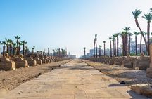 Luxor Half Day tour: Karnak and Luxor Temples