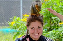 2x1: Monkeys Land Plus Drive a Dune Buggy in Puerto Plata