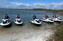 2 Hour Jet Ski Dolphin Tour to Shell Island