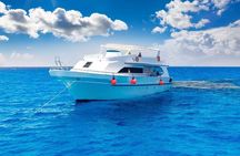 Sharm El Sheikh White Island and Ras Mohamed Cruise Adventure