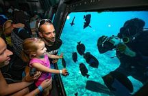 Sharm Submarine Adventure