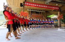 Alishan Forest Tour Experience