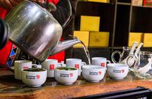 Alishan Forest Tour Experience