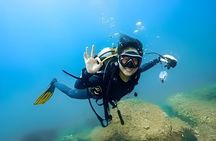 Cham Island Fun Dive Escape from Danang