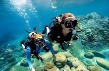 Cham Island Fun Dive Escape from Danang