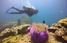 Cham Island Fun Dive Escape from Danang