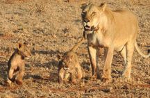 2 Days Safari to Tsavo East From Diani Beach