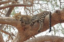 2 Days Safari to Tsavo East From Diani Beach
