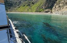 Ultimate Underwater & Coastal Adventure Cruise: 55 Minutes