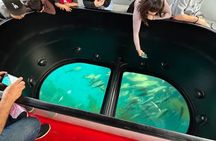 Ultimate Underwater & Coastal Adventure Cruise: 55 Minutes