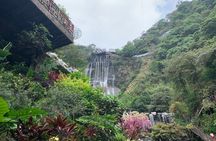Private Day Tour to Gulong Canyon Glass Bridge from Guangzhou