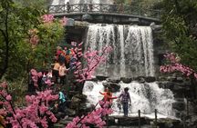 Private Day Tour to Gulong Canyon Glass Bridge from Guangzhou