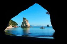Cathedral Cove Scenic Cruises Explore Caves and Coastline
