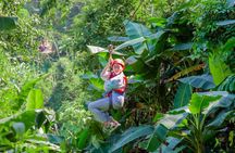 Koh Samui Jungle Zipline Adventure with Longest Zipline Course