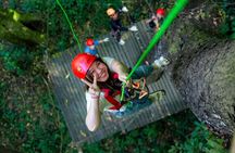 Chiang Mai Sky Hawk Zipline Adventure in the Jungle Canopy