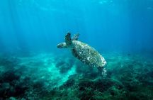 Bali to Nusa Penida: Premium Private Full Day Tour-All Inclusive