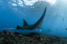 Bali to Nusa Penida: Premium Private Full Day Tour-All Inclusive