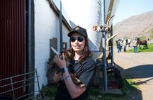 Dynjandi Waterfall & Farm Visit Tour from Isafjordur Port