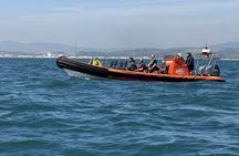 Rib Adventure Experience in Gibraltar