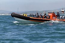 Rib Adventure Experience in Gibraltar