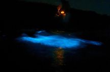 BioBay Experience at ViequesBrightes BioBay