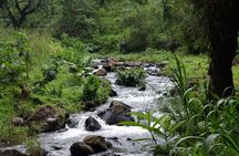 Materuni Waterfall, Chemka Hot Springs, & Coffee Tour