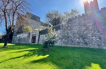 Walking Introduction to Dublin and Ireland