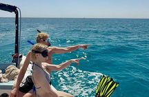 Hurghada Private Speedboat Dolphins, Snorkeling and White Island