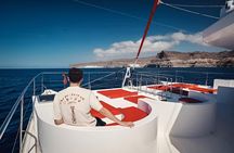 Premium Catamaran Tour from Puerto Rico