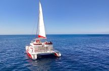 Premium Catamaran Tour from Puerto Rico