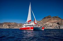 Premium Catamaran Tour from Puerto Rico