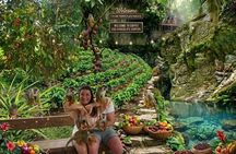 Monkeys, Chocolat and Café Organic Plantation in Puerto Plata