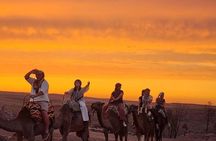 Agafay Desert Buggy Ride Camel and Dinner with Fire Show