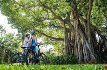 Self Guided E Bike Tour of Coral Gables with App