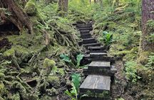 Private Custom Rainforest Hike and Photography Tour