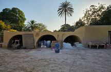 Fayoum Oasis Safari day tour Sandboarding, Breakfast, lunch& Boat