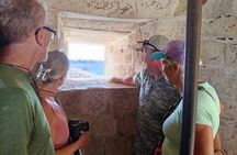 Alexandria Day Tour from Alexandria Port or Hotels