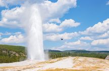 Private Yellowstone Tour with Lunch