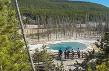 Private Yellowstone Tour with Lunch