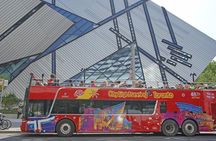 Toronto Hop On Hop Off Bus Tour Plus Niagara Falls Day tour
