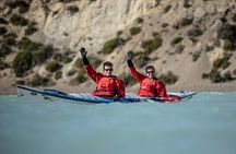 Santa Cruz River Kayak Tour: Following Darwin’s Route