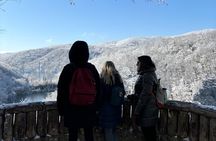 Plitvice Lakes Day Tour from Zadar, Simple and Safe 