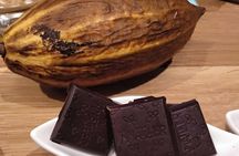 El Born Dragon Hunt and Chocolate Workshop