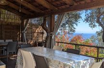Authentic Cooking with Locals: Meal, Wine & Scenic Views