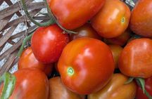 Genuine Home Cooking Class + Wine Tasting