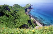 Hokkaido Day Tour in Cape Kamui and Shiroi Koibito Park