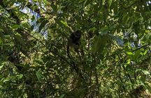 5-Day Mount Kilimanjaro Climb via Marangu Route