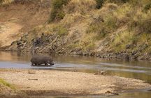 3 Days Tsavo East and Tsavo West Safari from Diani Mombasa Watamu