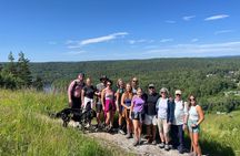 Oslo: Scenic Forest Hike with Dog & Local Guide