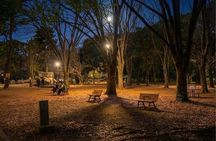 Tokyo Night Tour Ghost Stories and Cemetery Walk